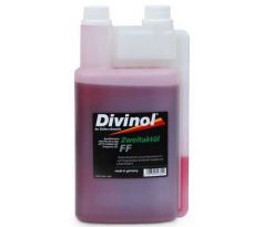 Divinol FF univerzálny olej 2T 1l s odmerkou
